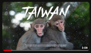 Film de voyage à Taiwan